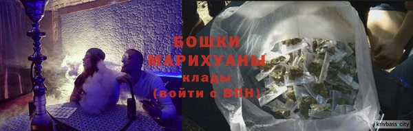 прущие грибы Карталы