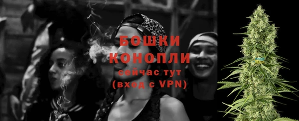 дживик Касимов