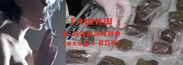 прущие грибы Карталы