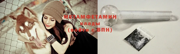 дживик Касимов