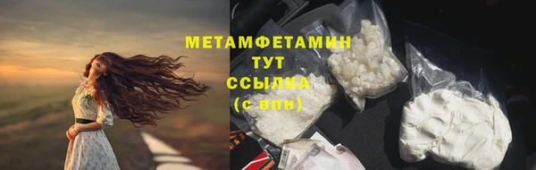 прущие грибы Карталы