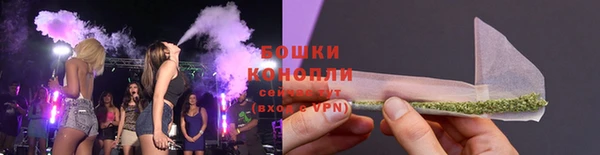 прущие грибы Карталы
