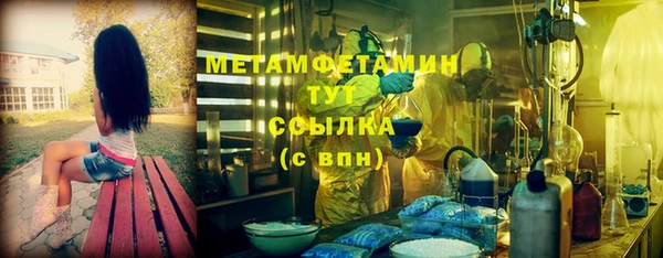 прущие грибы Карталы