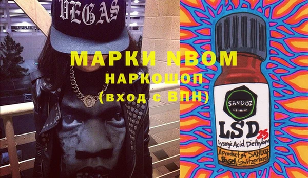 прущие грибы Карталы