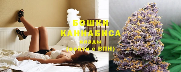 дживик Касимов