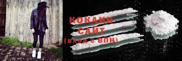 прущие грибы Карталы