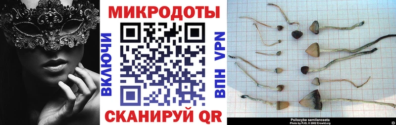 Галлюциногенные грибы ЛСД  Купить закладки  Ялта 